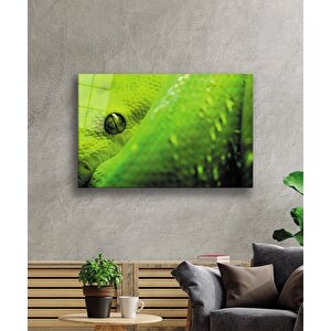 Yeşil Yılan Cam Tablo Green Snake 36x23 cm