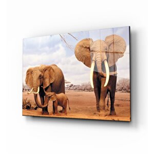 Fil Cam Tablo 50x70 cm
