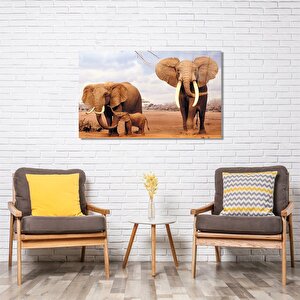 Fil Cam Tablo 50x70 cm