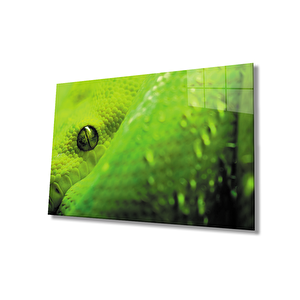 Yeşil Yılan Cam Tablo Green Snake 50x70 cm