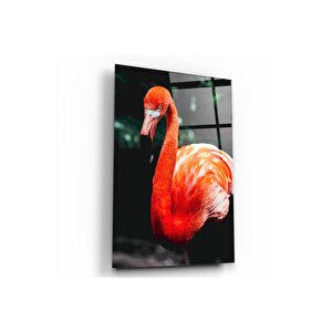 Flamingo Cam Tablo 50x70 cm