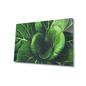 Yeşil Bitki Yaprak Cam Tablo 50x70 cm