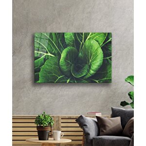 Yeşil Bitki Yaprak Cam Tablo 50x70 cm