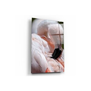 Flamingo Cam Tablo 50x70 cm