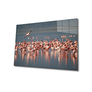 Flamingo Cam Tablo 36x23 cm