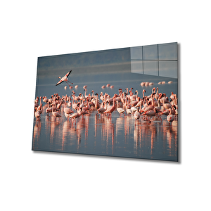 Flamingo Cam Tablo 90x60 cm