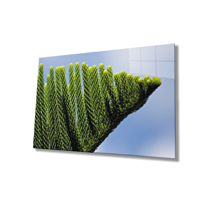 Yeşil Bitki Cam Tablo Green Plant 50x70 cm