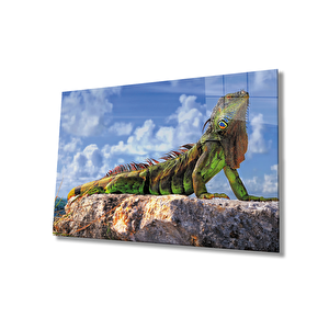 Bukalemon Cam Tablo 50x70 cm