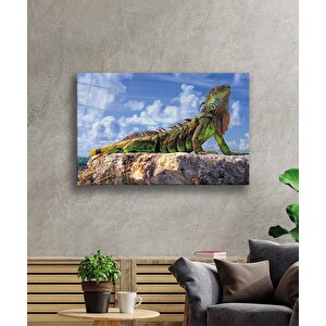 Bukalemon Cam Tablo 50x70 cm