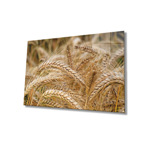 Başaklar Cam Tablo Virgos 50x70 cm