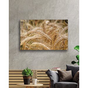 Başaklar Cam Tablo Virgos 50x70 cm