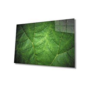 Yeşil Yaprak Cam Tablogreen Eaf 110x70 cm