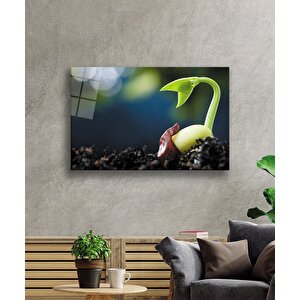Filizlenmiş Yeşil Bitki Cam Tablo 36x23 cm