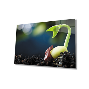 Filizlenmiş Yeşil Bitki Cam Tablo 50x70 cm