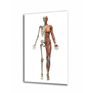 Spor Fıtnes Cam Tablo 36x23 cm