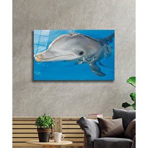 Yunus Balığı Cam Tablo Dolphin 50x70 cm