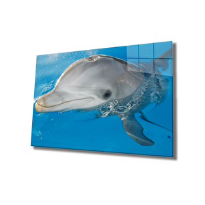 Yunus Balığı Cam Tablo Dolphin 90x60 cm