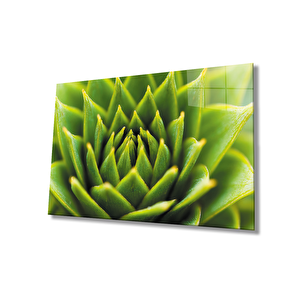 Yeşil Bitki Green Plant 36x23 cm