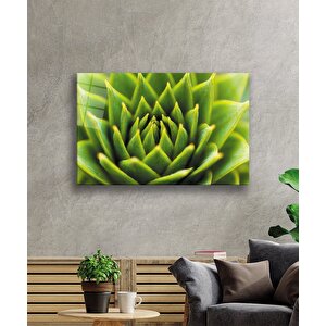 Yeşil Bitki Green Plant 90x60 cm
