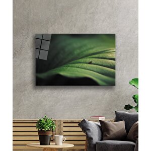 Yeşil Yaprak Cam Tablo Green Leaf 50x70 cm