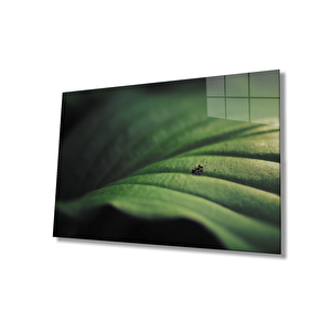 Yeşil Yaprak Cam Tablo Green Leaf 36x23 cm