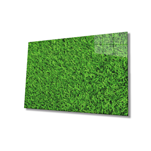 Yeşil Çimen Cam Tablo Green Grass 50x70 cm