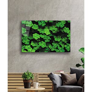 Yeşil Yonca Green Clover 50x70 cm