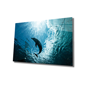 Yunus Balığı Cam Tablo Dolphin 110x70 cm