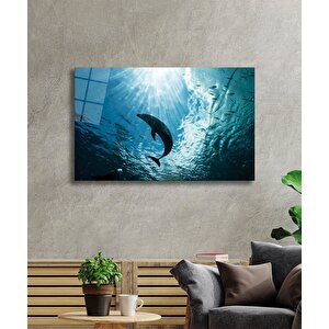 Yunus Balığı Cam Tablo Dolphin 110x70 cm