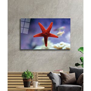 Kırmızı Yıldız Balığı Cam Tablo 36x23 cm