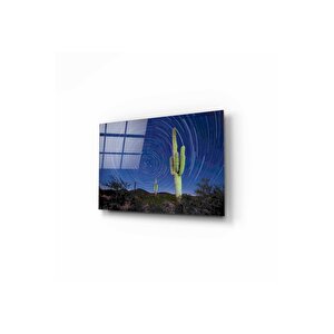 Kaktüs Cam Tablo 50x70 cm