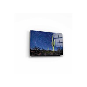 Kaktüs Cam Tablo 50x70 cm