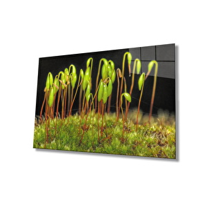 Yeşil Bitkiler Cam Tablo Green Plants 50x70 cm