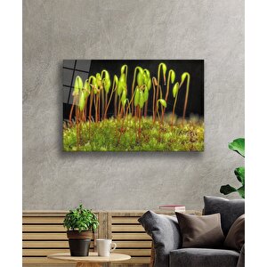 Yeşil Bitkiler Cam Tablo Green Plants 50x70 cm