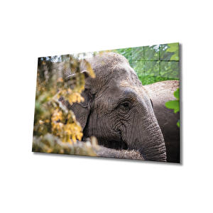 Fil Cam Tablo 36x23 cm