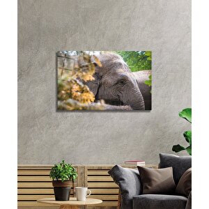 Fil Cam Tablo 36x23 cm