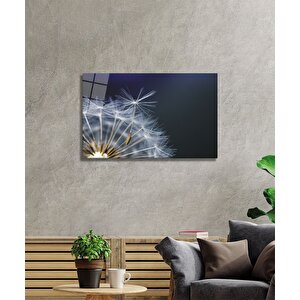 Tozcuk Cam Tablo 50x70 cm