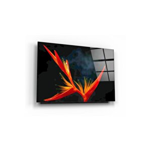 Zambak Cam Tablo 70x110 cm