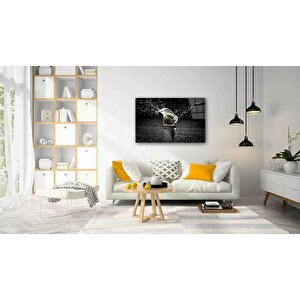 Sıçrama Cam Tablo 36x23 cm