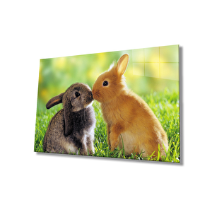 Tavşanlar Cam Tablo 50x70 cm