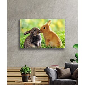 Tavşanlar Cam Tablo 50x70 cm