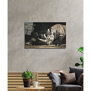 Gergedan Cam Tablo 50x70 cm
