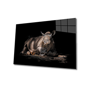 Gergedan Cam Tablo 90x60 cm