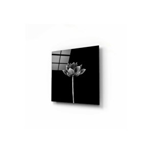 Karagül Cam Tablo 30x30 cm