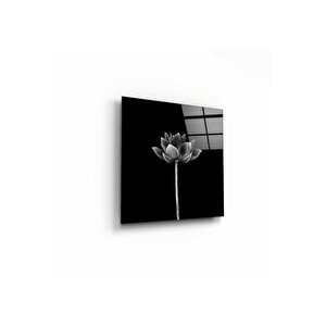 Karagül Cam Tablo 30x30 cm