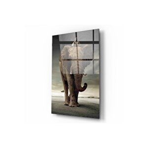 Fil Cam Tablo 50x70 cm