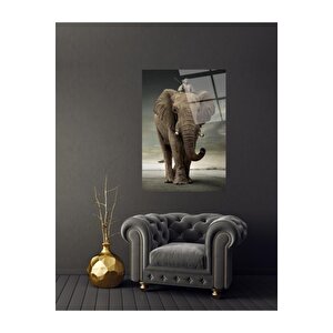 Fil Cam Tablo 50x70 cm