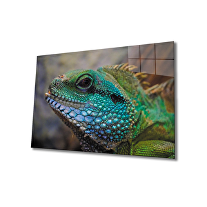 İguana Cam Tablo 50x70 cm