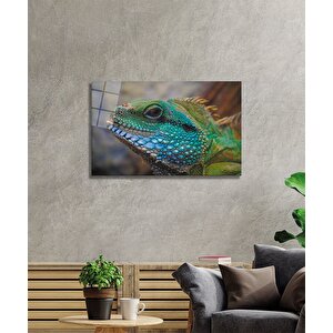 İguana Cam Tablo 50x70 cm