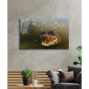 Suda Timsah Cam Tablo Crocodile 36x23 cm